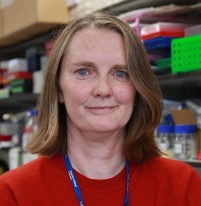 Portrait of Dr. Paula Cunnea